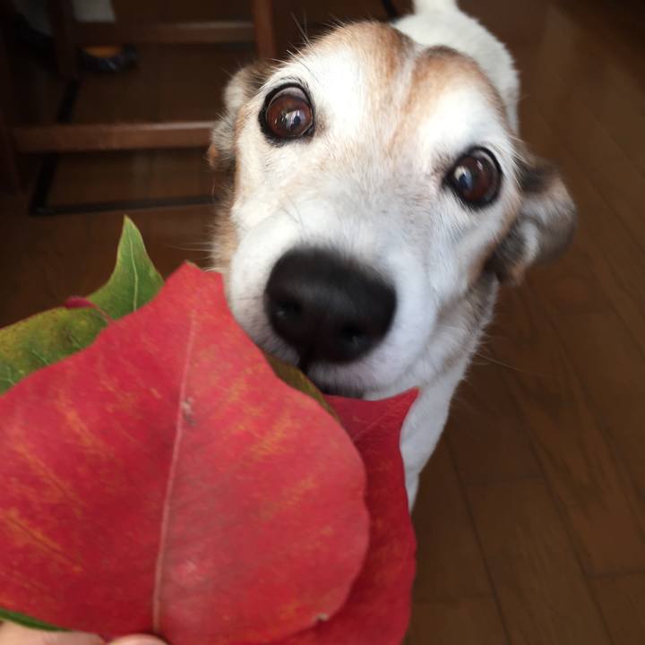 655a64fc a2fc 4232 b31d 6301a5f68fbe