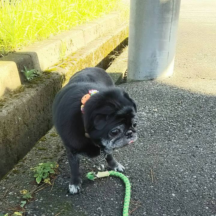 655a7409 bf5a 4666 8d01 cfa0f1365507