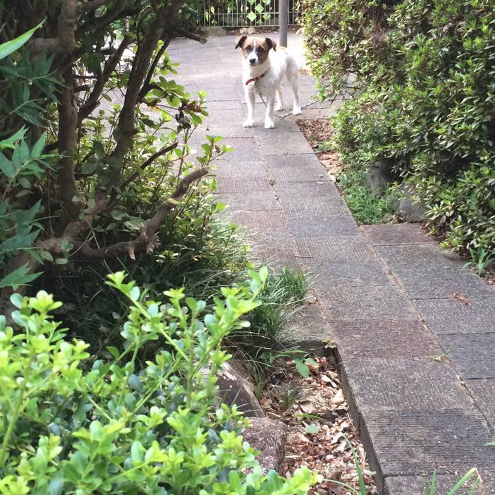 655b0ff7 6e9d 4e19 9cf9 b34029baac1a