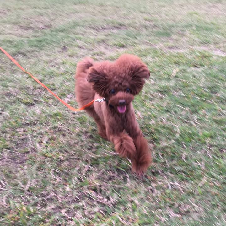 655b36ca dea0 42f9 8008 8c889f879be2