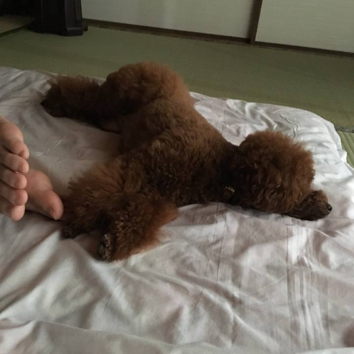 655b57f6 5ee3 4758 821f 7f386d057bf9