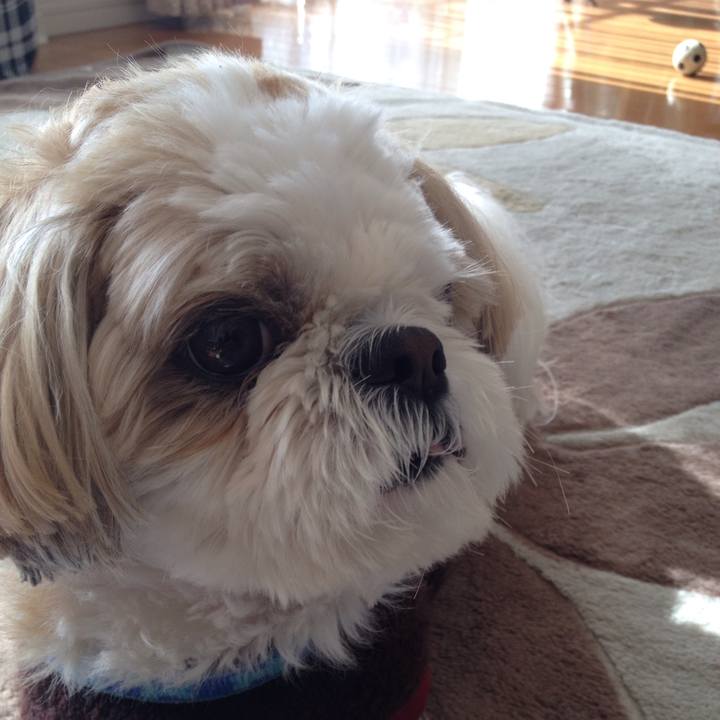 655c7a4f 278e 47aa bda4 2b009f156b07