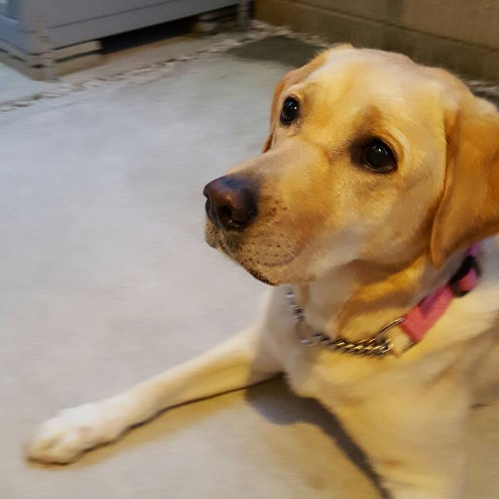 655c8918 5e16 4135 a35c 61eec39a6126