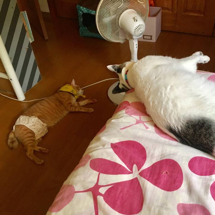 655c925d c0bd 4022 9d7f 84a3376b4846