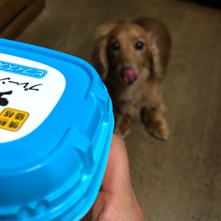 655cb3ed 1c14 4448 8bb9 6835058fed1b