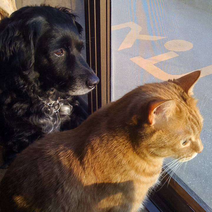 655cb4dc bb50 47f5 99e9 a3c5990d6ca1