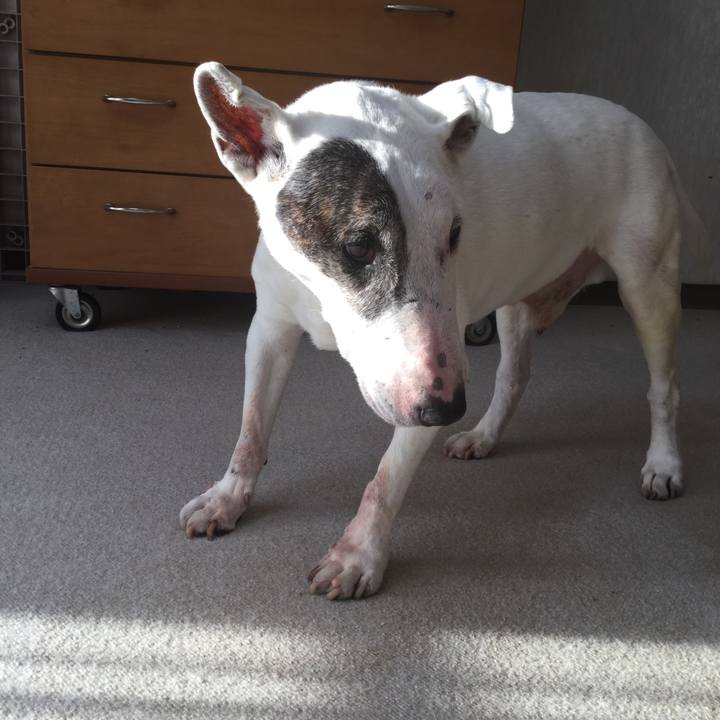 655cba19 bbc8 45a7 92f0 07ac0c96ec5d