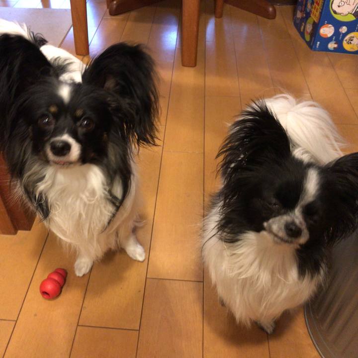 655cdb0f 3ef2 4c6a 92cb fa91f9be2589