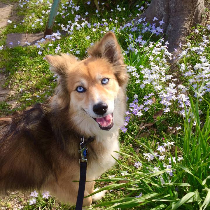 655d7db4 ea7e 4e8e 9b9f a5a3cc2834a5