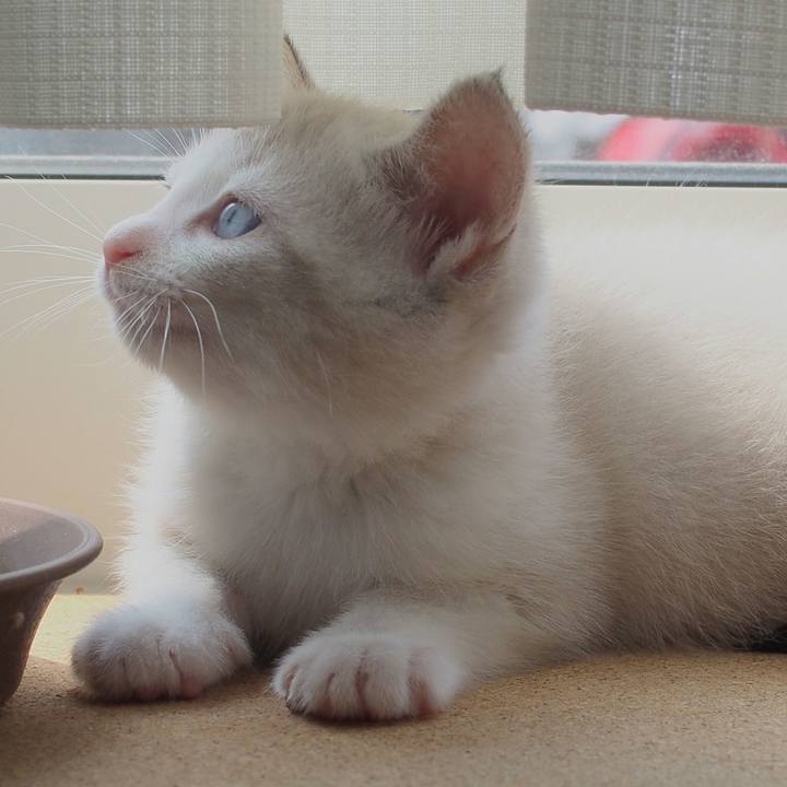 655d8d86 77d9 487a abc4 472e25925801