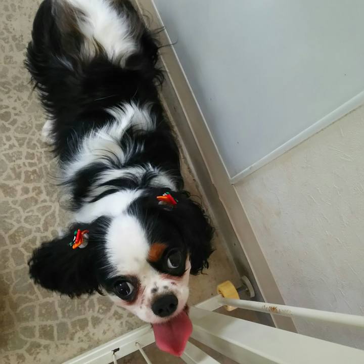 655db108 09e5 43d5 a1d5 dcef3b0fb2d7