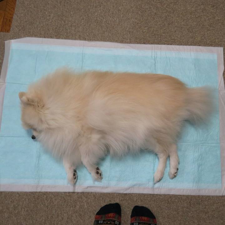 655df72c d524 4994 936d 297fe54c1e18