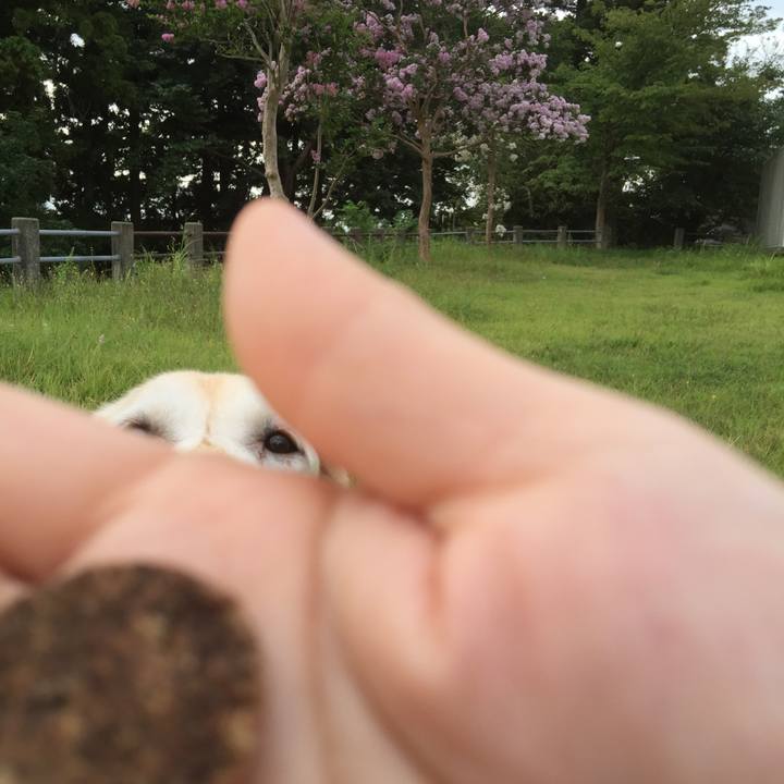 655ea9cb 136e 463c 8e3f 9af6a33d1fe9