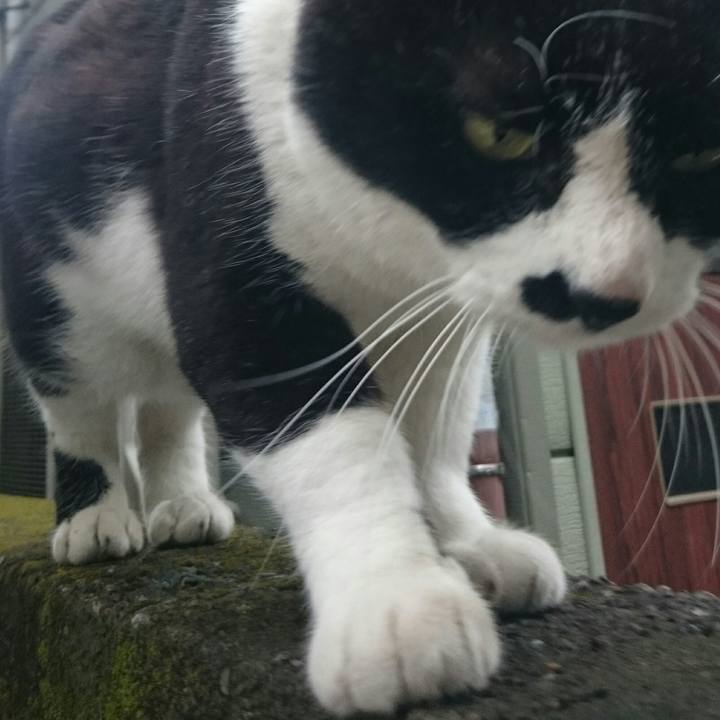 655eef2b 765a 49bb b901 616ea90abf12