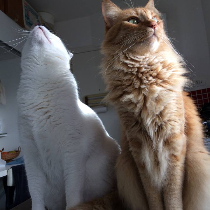 655f813f 2e3e 4491 950c aa0c78fd7036