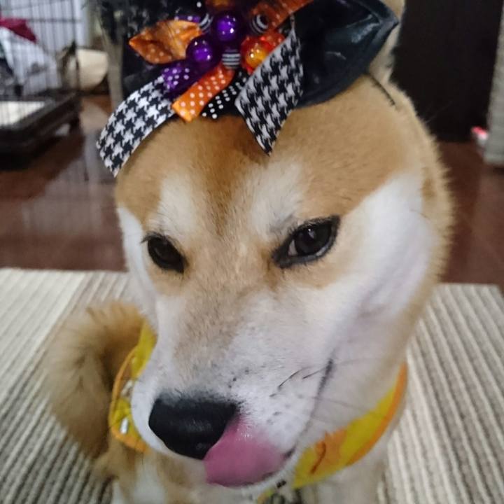 655f8536 3699 48b7 b8f0 8bc146e6f721