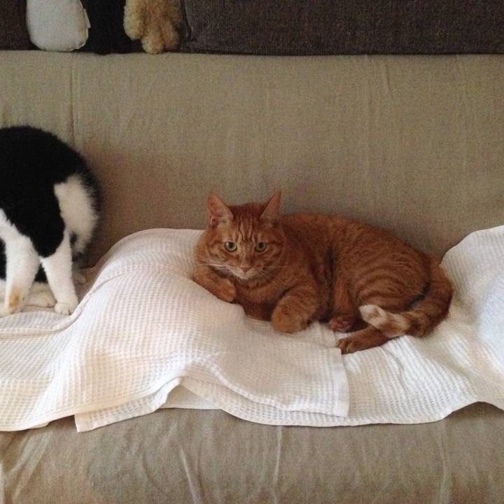 655fd6dd 0bf0 45fb 8ba5 abd3417b2dca