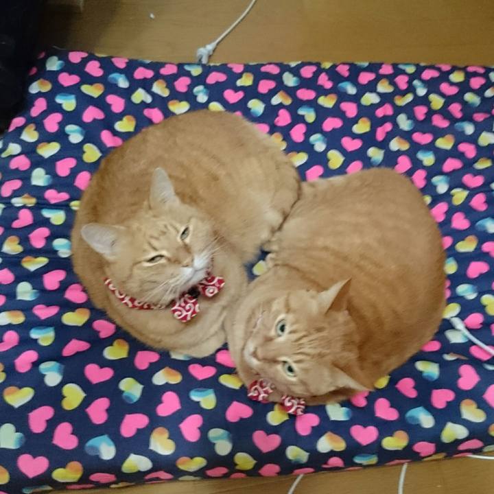 6560304b bc49 42e0 9bb9 80d80e136d6c