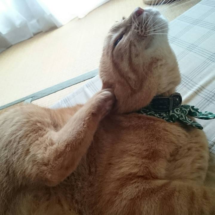 65603db9 a983 4a2a ae84 8415645d7276