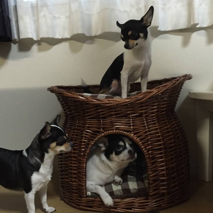 656055ea c19f 4f5a 915d 04b3d462e6ea