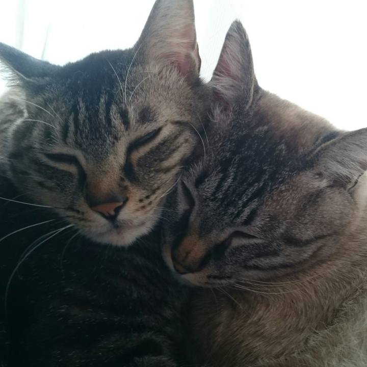 65612745 996a 46eb 9e65 31a359732507