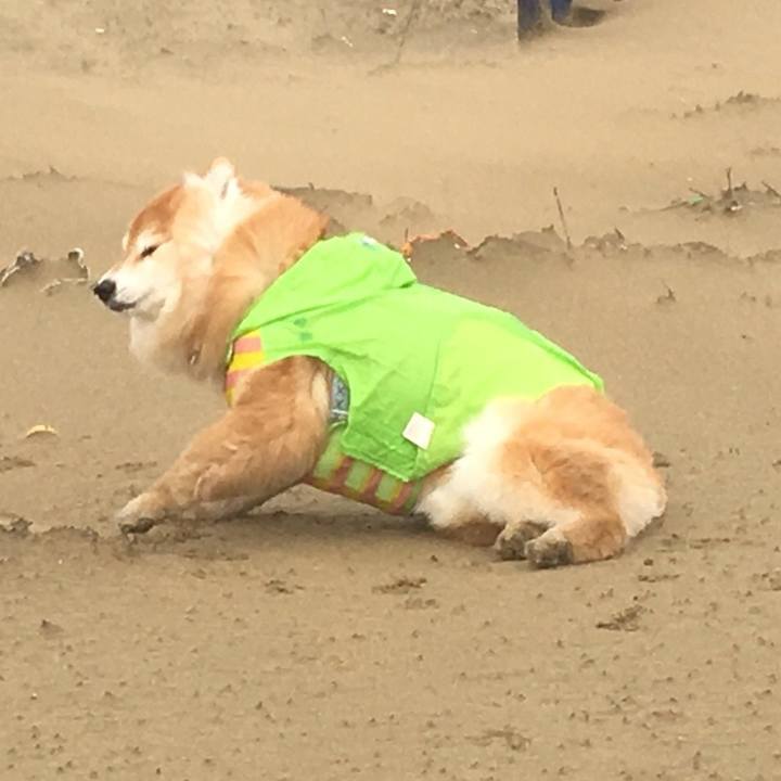 6561baf6 55af 4997 b85a 0c9a99c3062d