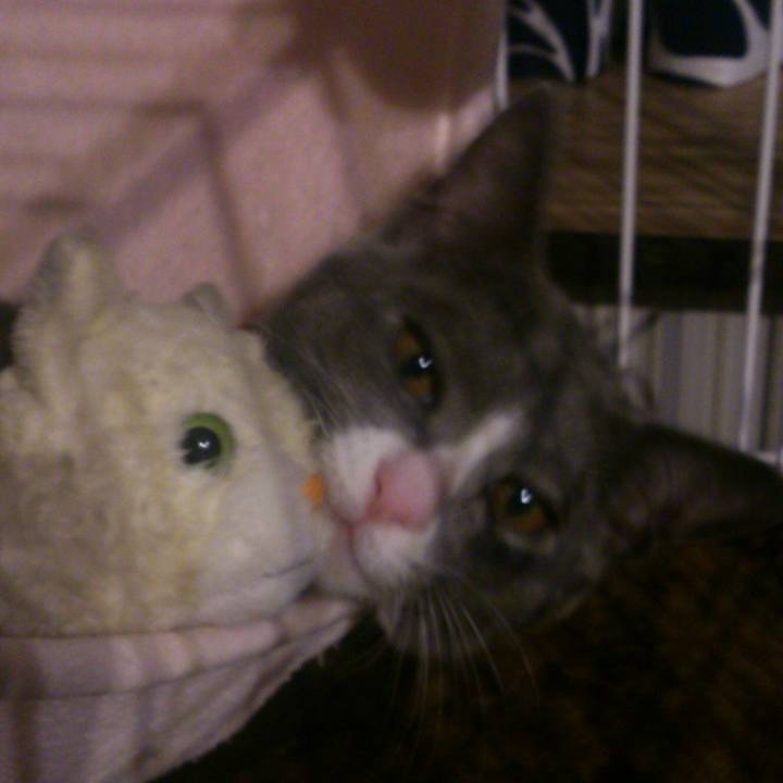 656202bb 011d 4780 99d0 a58216a6601e