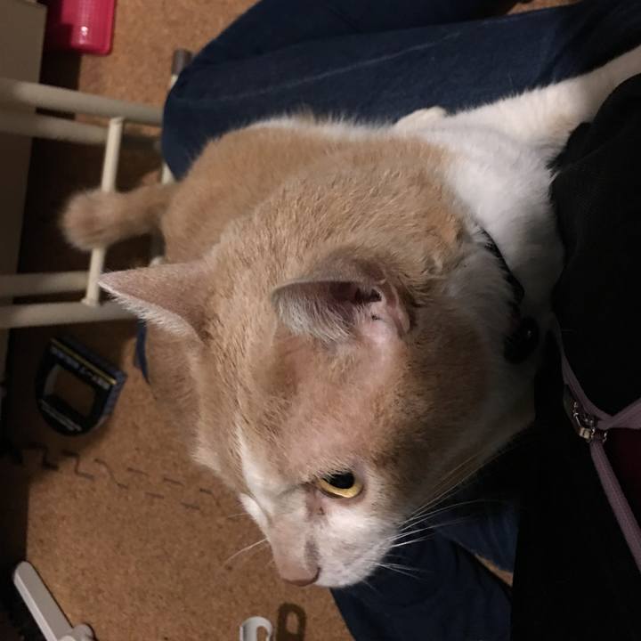 65621464 ebf6 4fda ac3e f6b5ff6a82ab