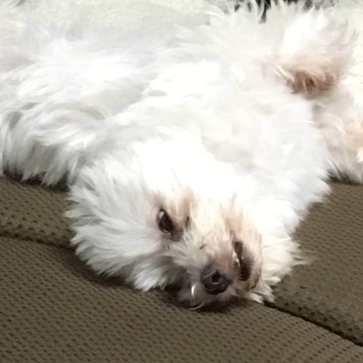 65627989 2feb 41c8 a1f4 f3573b9e30a7