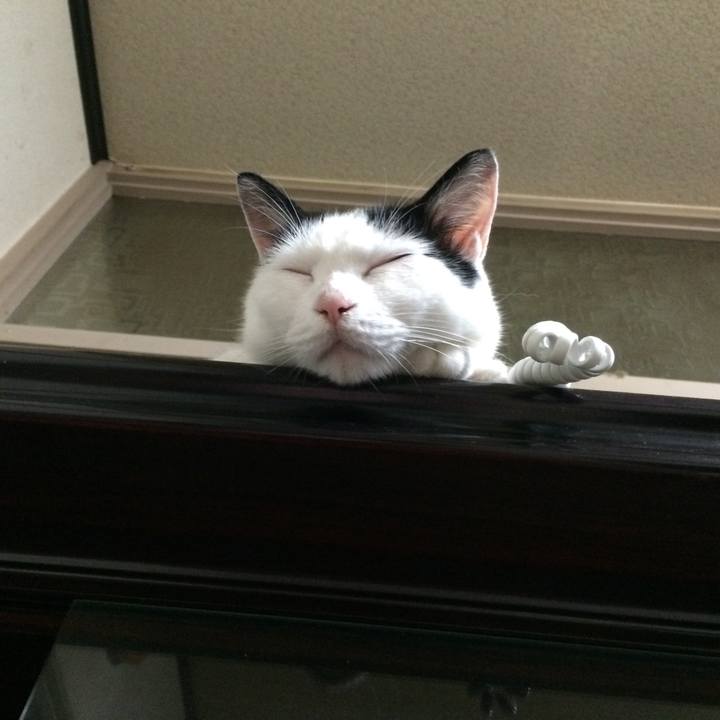 6562c6ff c3ba 425f b5ab 911d9e931d0e