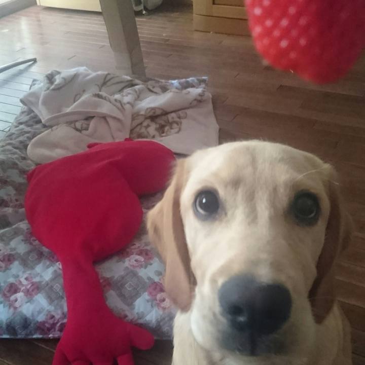 65635dc0 9ca4 4a09 8fff be62dd02d31d