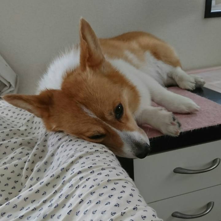 65637085 0bd7 40dd 9afa 44806cc33a71