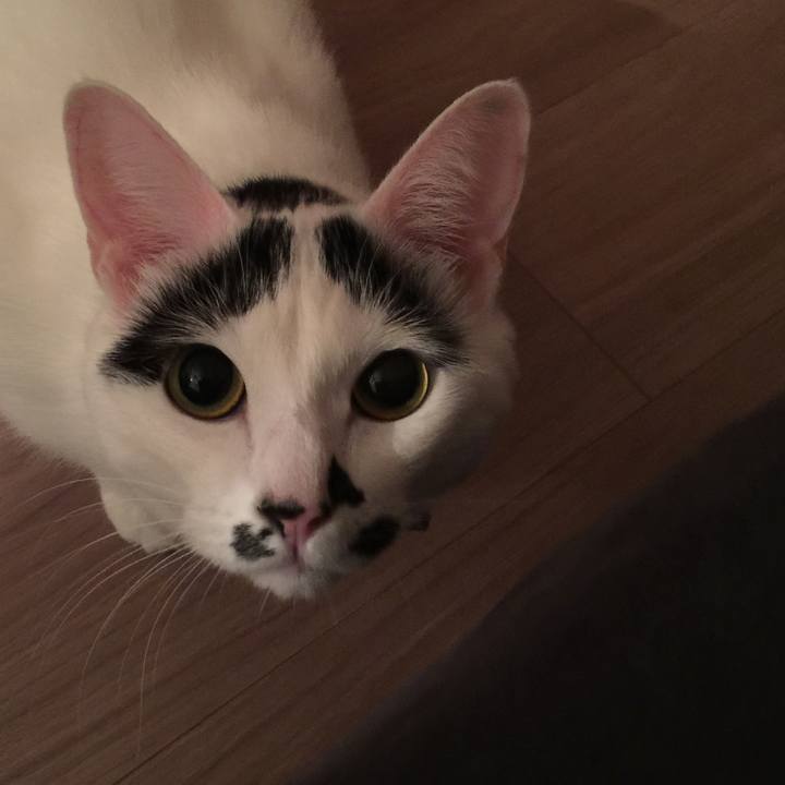 6563c3d8 262f 439d 8d53 771308e1eef3