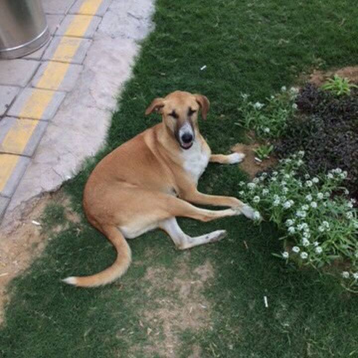 65640397 ebfa 44b4 bcd8 9c4f5d0f8ca9