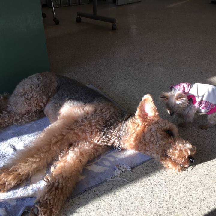 65646272 7471 43c2 98f3 dbd69ec006e5