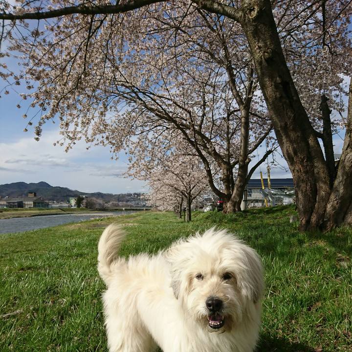 6564d4d4 0456 4b29 84de f051c76b00ce