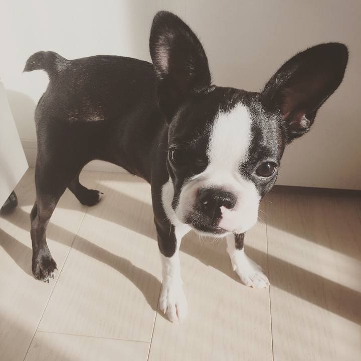 656525d6 4418 4404 8f4b 0231790d9fc6