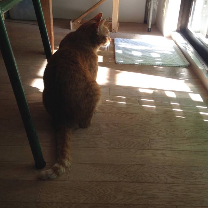 656536ba 4234 40c7 b8c8 d2ea8474aabb