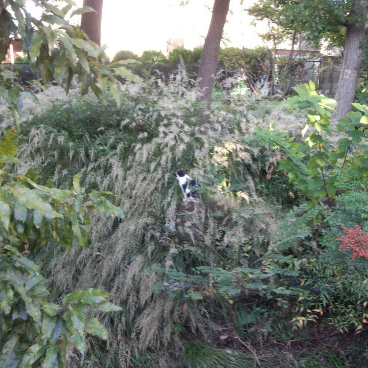 65655b2b 5d8a 4199 9bc6 219f2a18c11f