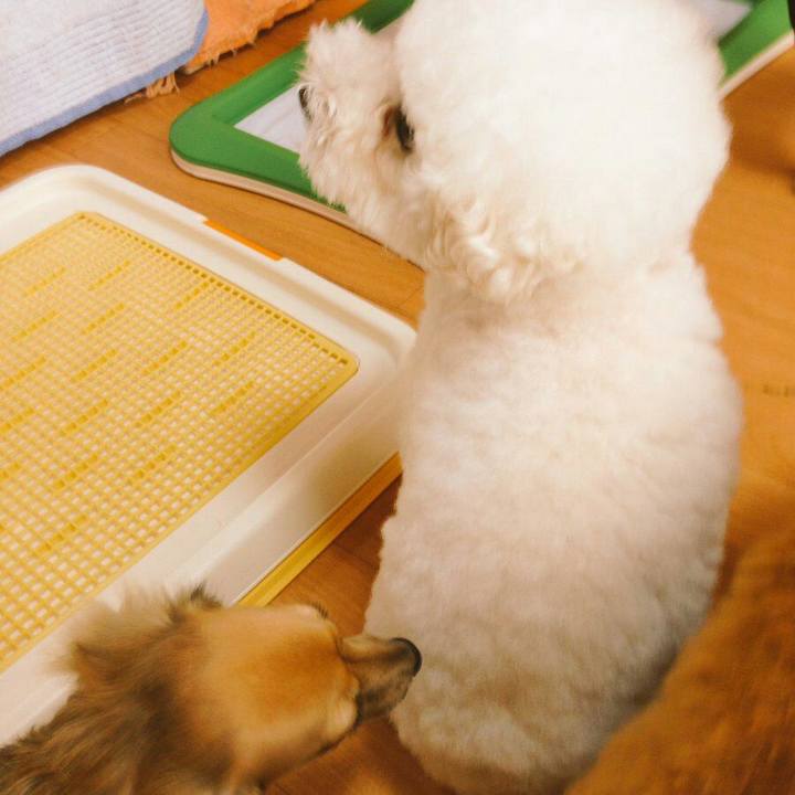 6565b929 3639 43a5 8f66 109b4066da9b