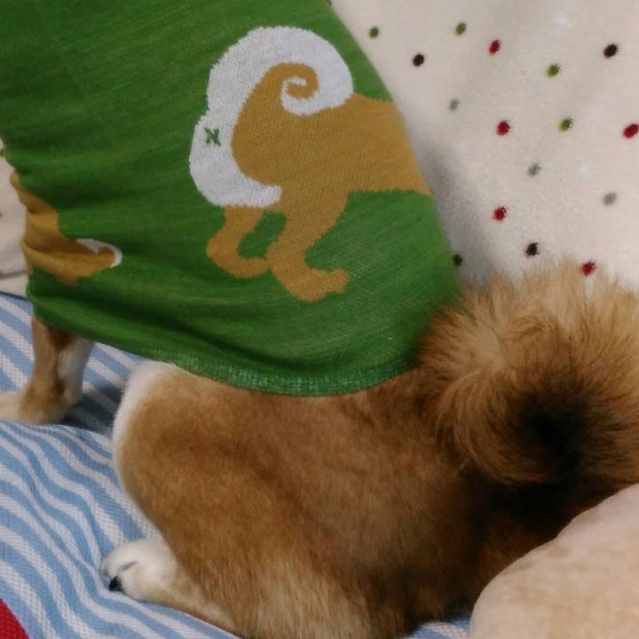 6565c2a9 908a 4b31 b75a 1b54795c489a