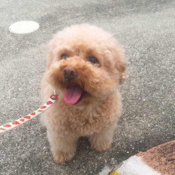 65663508 2ff6 4a87 a399 219d0e23f099