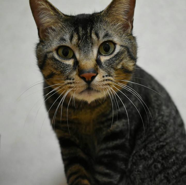 656647d7 f0e0 4342 90c7 5ebd9c714f73