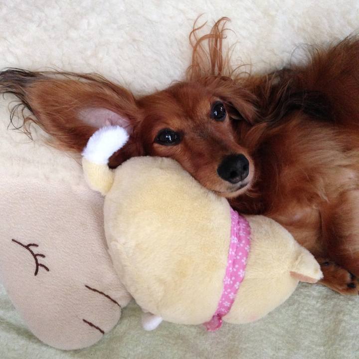 656678c0 2a85 4a7d 9d98 e8df161b85b9