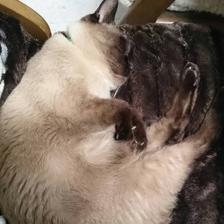 6566de82 17f0 49c5 abb2 f29be7c35b46