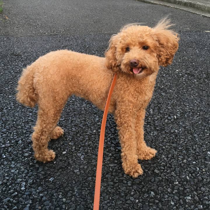 6567b7b4 30f8 463d b229 1b477bab8090