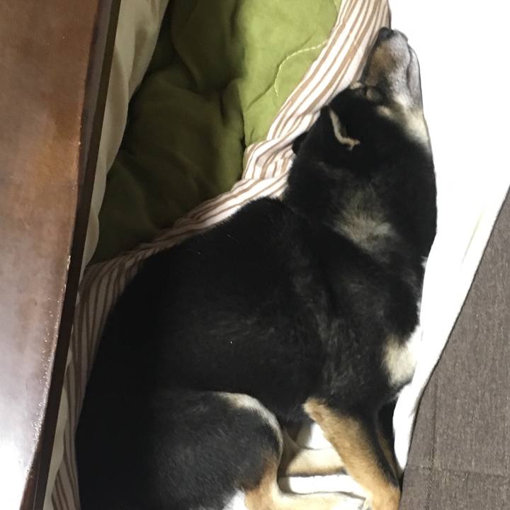 6568ac30 10be 478a b83e 5ebd07ea2789