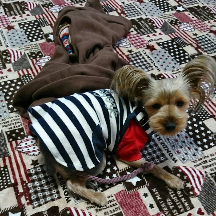 6568c6e0 2c50 4364 bba9 11ceb77d03c1