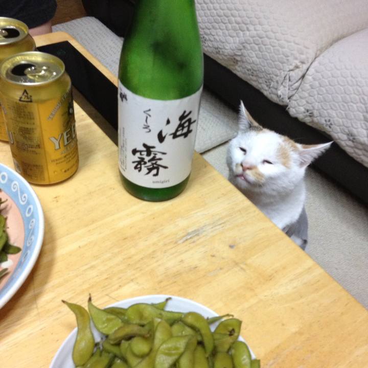 65695265 521c 49a8 9f71 7e6d7fb956c2