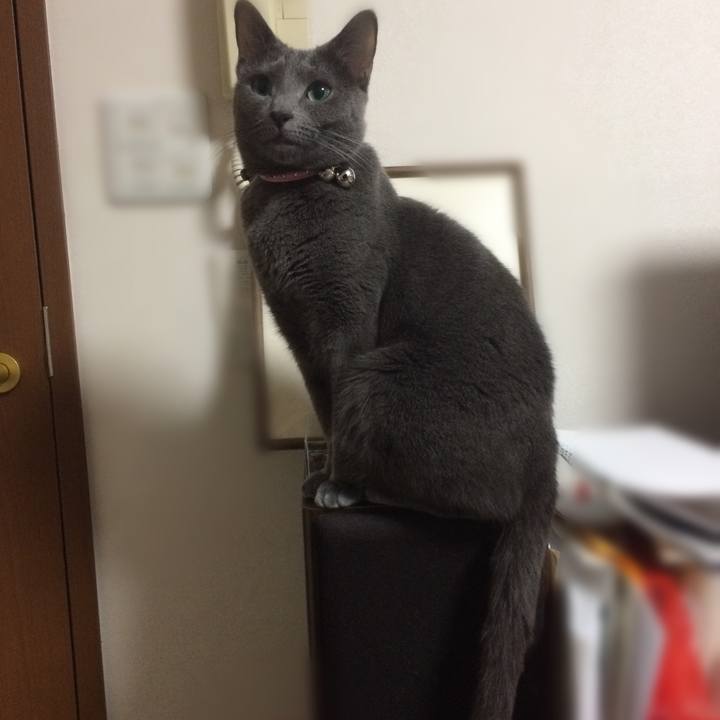 6569e28f bc2c 4ab3 8b40 cd85988a6b45